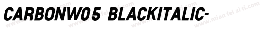 CarbonW05 BlackItalic字体转换